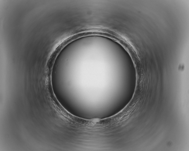 X0000096141360200801251031