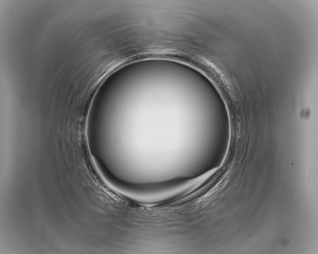 X0000096141361200801251031