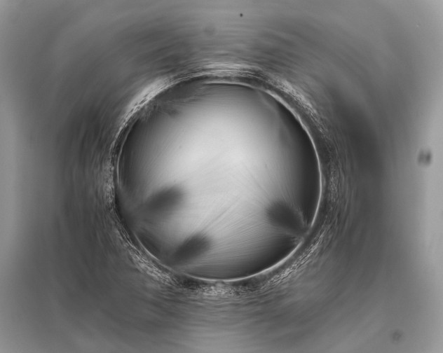 X0000096141362200801251031