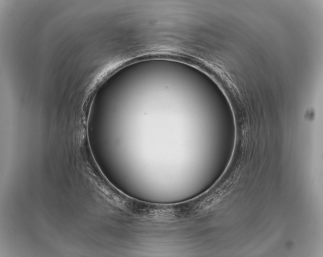 X0000096141363200801251031