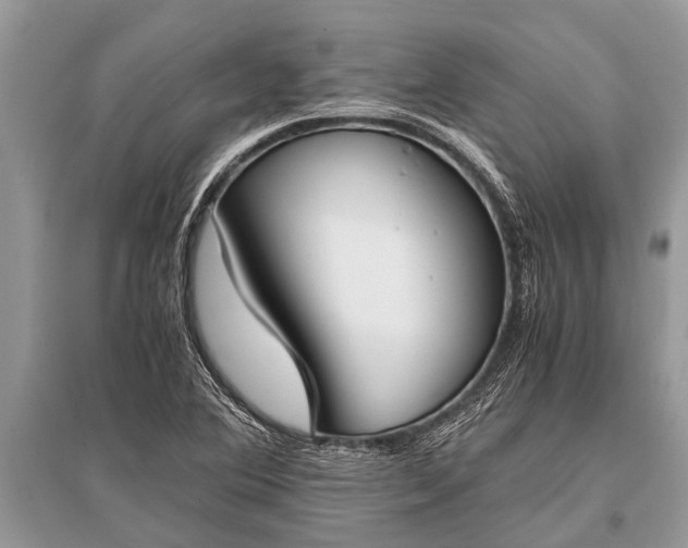X0000096141364200801251031