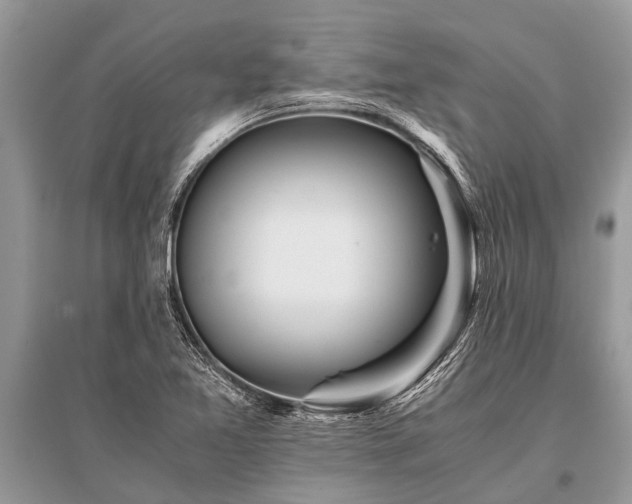 X0000096141365200801251031
