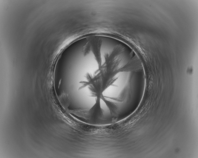 X0000096141367200801251031