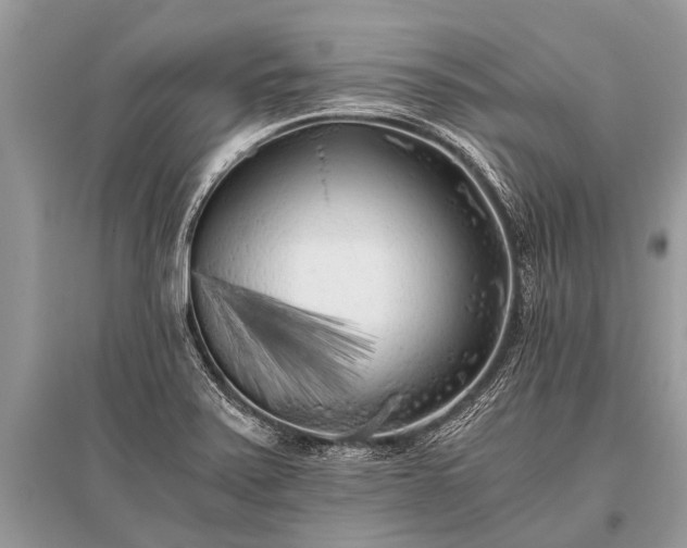 X0000096141371200801251031