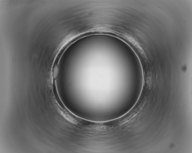 X0000096141372200801251031