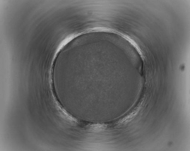 X0000096141373200801251031