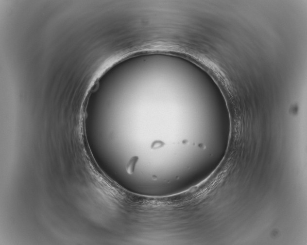 X0000096141374200801251031