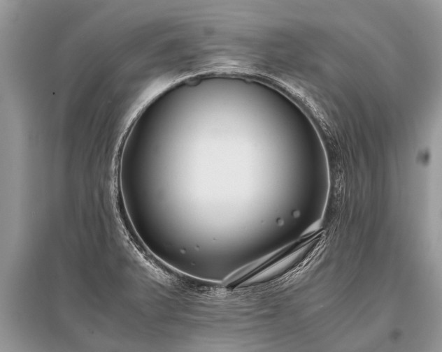 X0000096141375200801251031