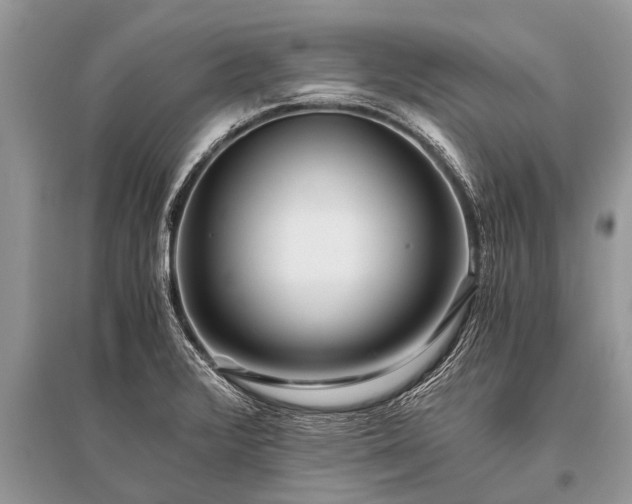 X0000096141376200801251031
