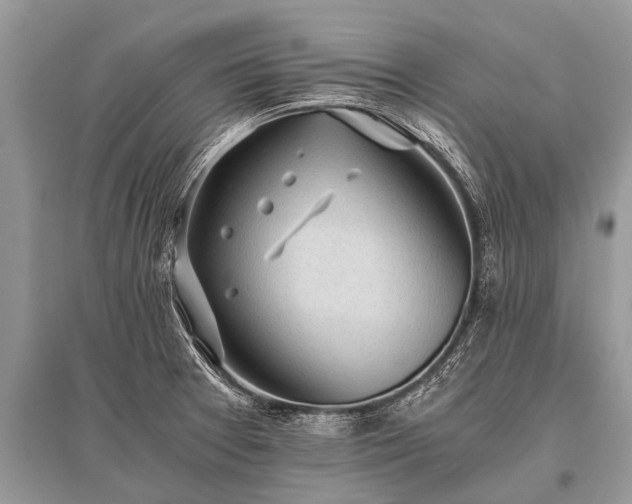 X0000096141377200801251031