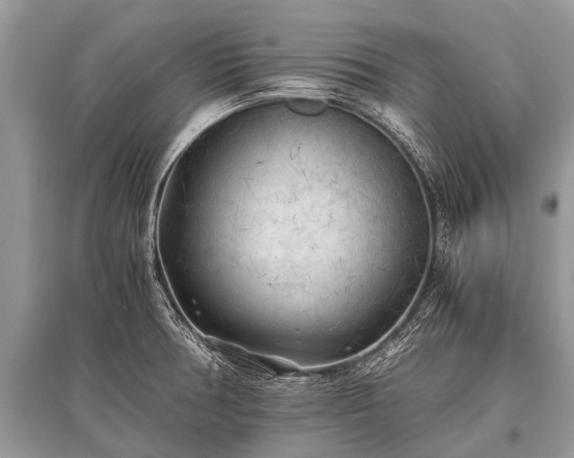 X0000096141378200801251031