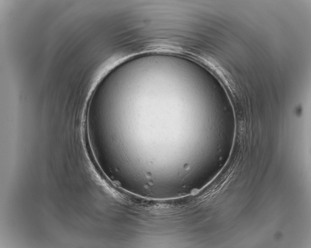 X0000096141379200801251031