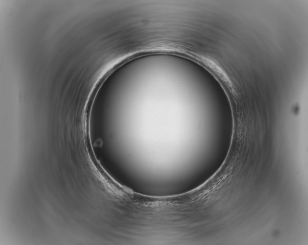 X0000096141380200801251031
