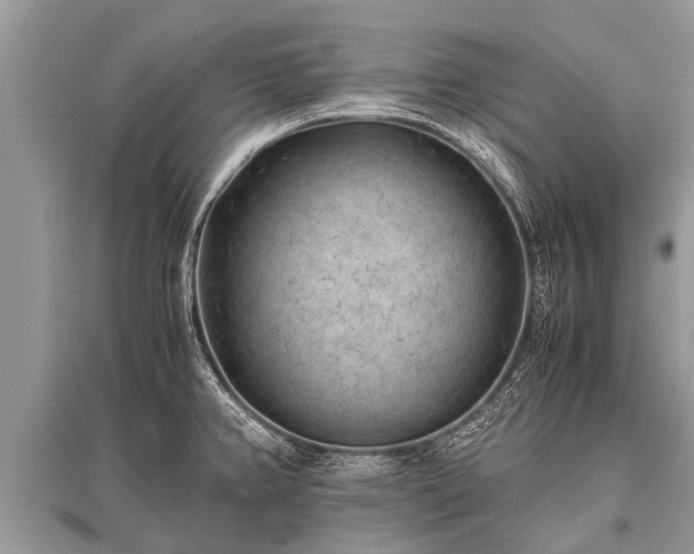 X0000096141382200801251031