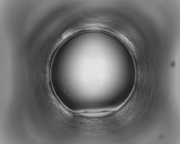 X0000096141384200801251030