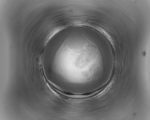 X0000096141385200801251030