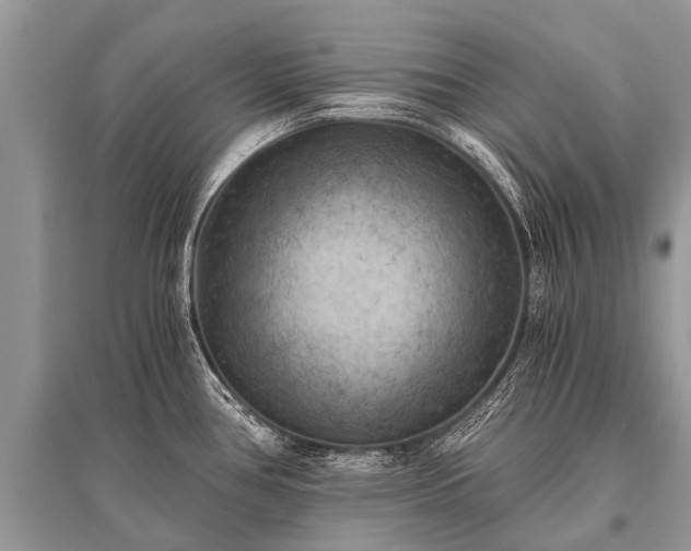 X0000096141386200801251030
