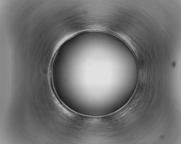 X0000096141387200801251030