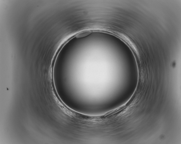 X0000096141388200801251030