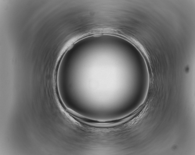 X0000096141389200801251030