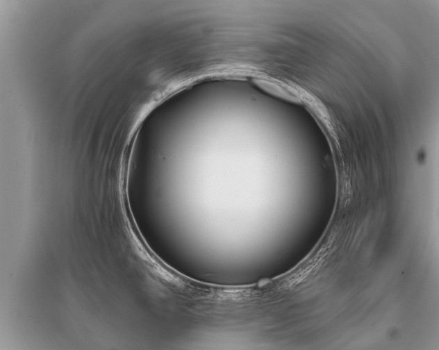 X0000096141390200801251030