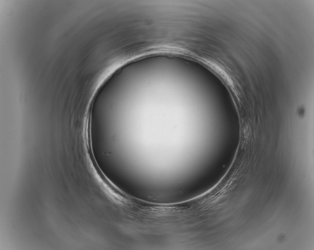 X0000096141391200801251030