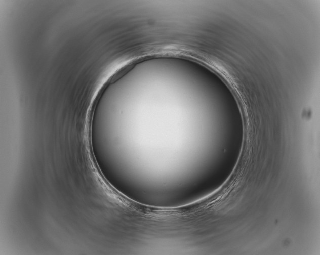 X0000096141392200801251030