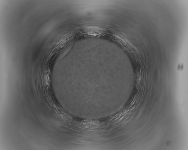 X0000096141394200801251030