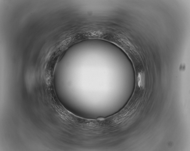 X0000096141395200801251030