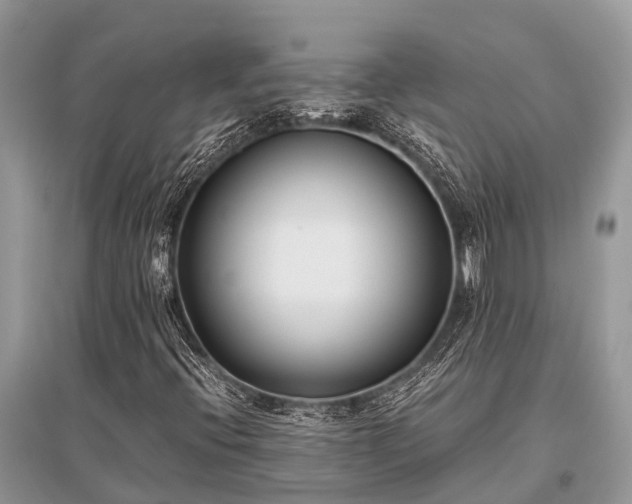 X0000096141396200801251030