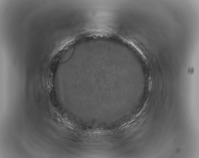 X0000096141399200801251030