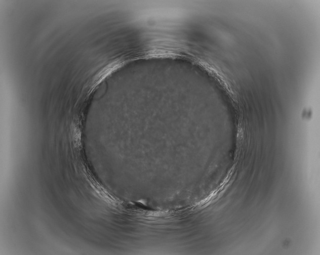 X0000096141401200801251030