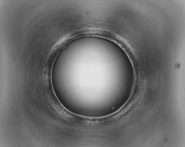 X0000096141403200801251030