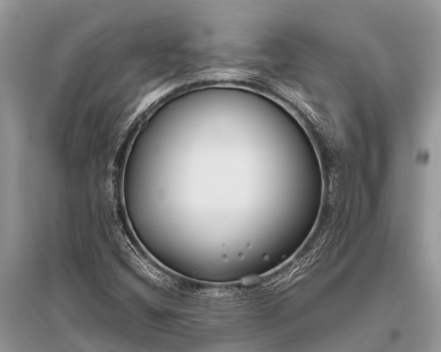 X0000096141404200801251030