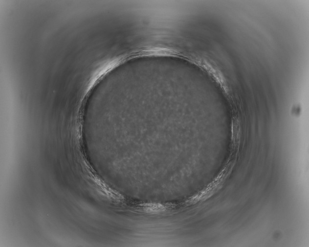 X0000096141405200801251030