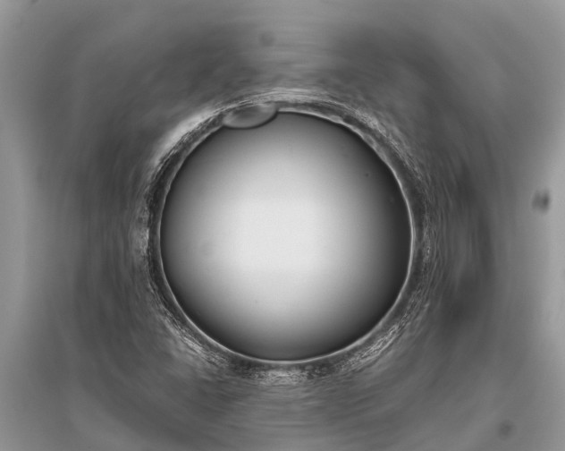 X0000096141406200801251030