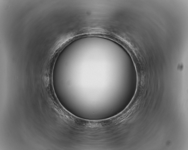 X0000096141407200801251030