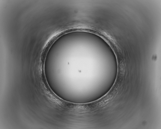 X0000096141408200801251030