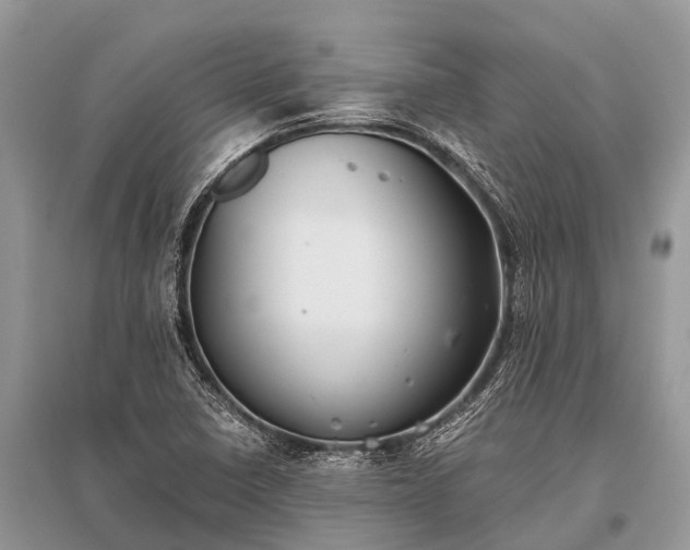 X0000096141410200801251030