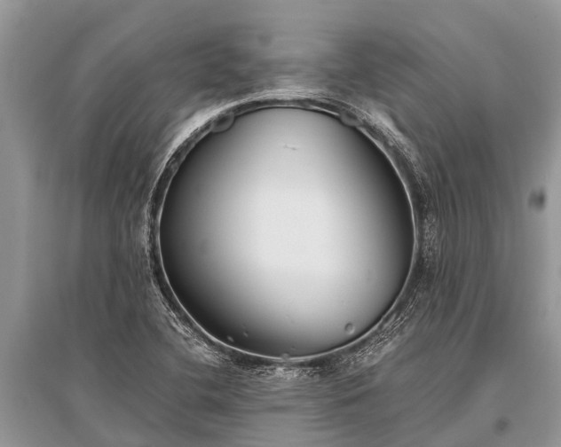 X0000096141412200801251030