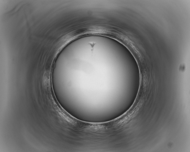X0000096141417200801251030