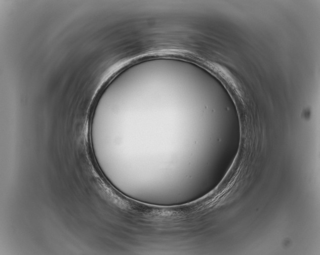 X0000096141420200801251030