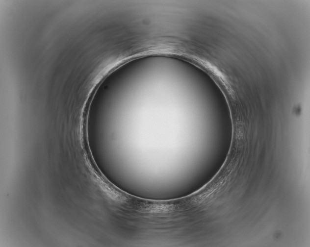 X0000096141423200801251030