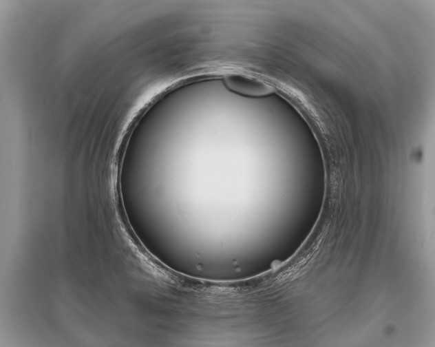 X0000096141424200801251030