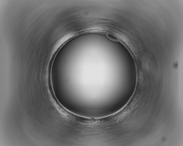 X0000096141426200801251030