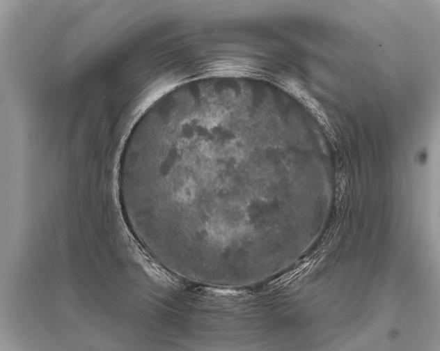 X0000096141427200801251030