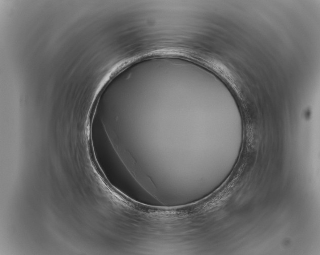 X0000096141428200801251030