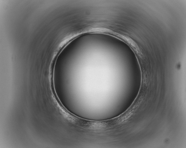 X0000096141430200801251030