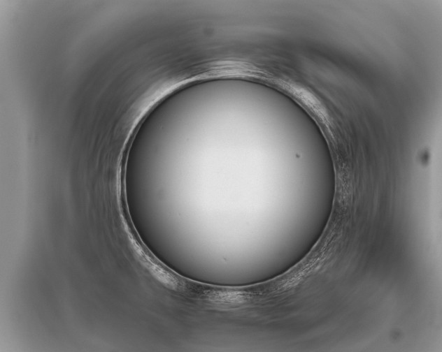 X0000096141431200801251030