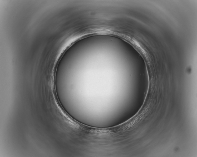 X0000096141432200801251030